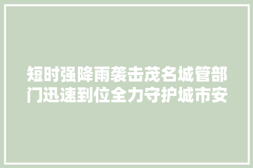 短时强降雨袭击茂名城管部门迅速到位全力守护城市安然