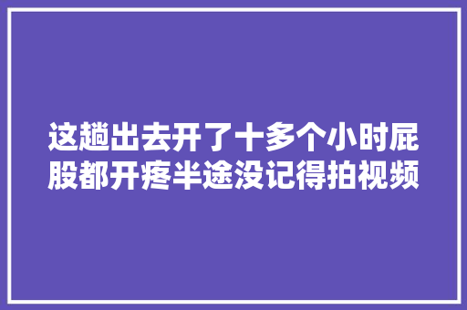 这趟出去开了十多个小时屁股都开疼半途没记得拍视频水 汽车知识