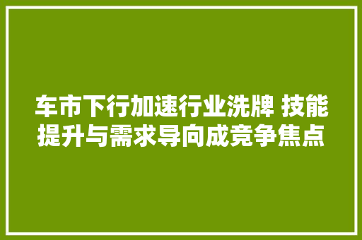 车市下行加速行业洗牌 技能提升与需求导向成竞争焦点