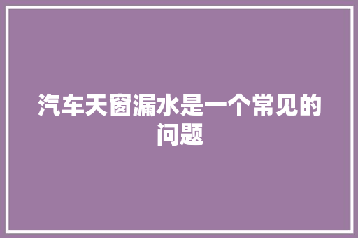 汽车天窗漏水是一个常见的问题