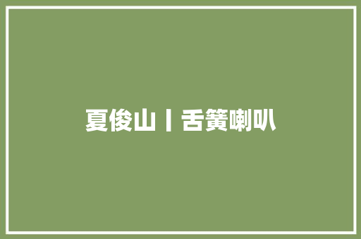 夏俊山丨舌簧喇叭