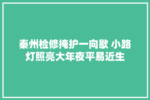 秦州检修掩护一向歇 小路灯照亮大年夜平易近生