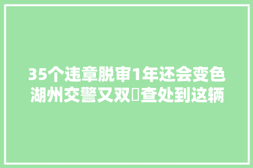 35个违章脱审1年还会变色湖州交警又双叒查处到这辆宝马车