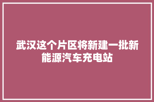武汉这个片区将新建一批新能源汽车充电站