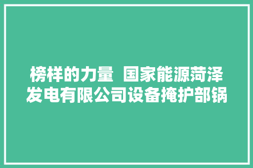 榜样的力量  国家能源菏泽发电有限公司设备掩护部锅炉专业起色班百日攻坚以热血奉献点亮电力妄图