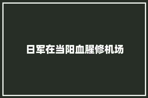 日军在当阳血腥修机场 汽车知识