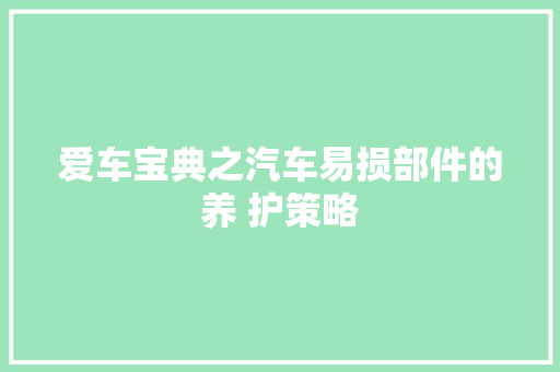 爱车宝典之汽车易损部件的养 护策略