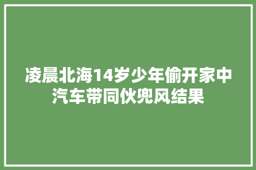 凌晨北海14岁少年偷开家中汽车带同伙兜风结果