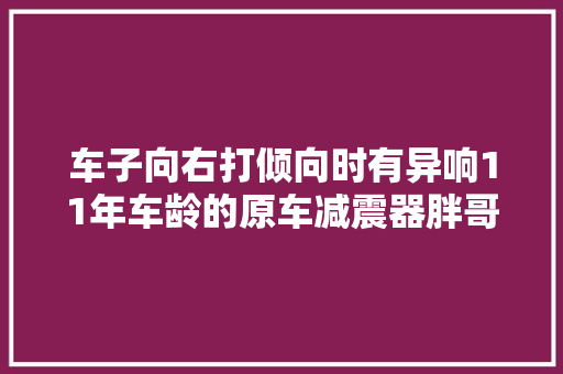 车子向右打倾向时有异响11年车龄的原车减震器胖哥拆下来捣