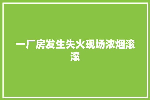 一厂房发生失火现场浓烟滚滚