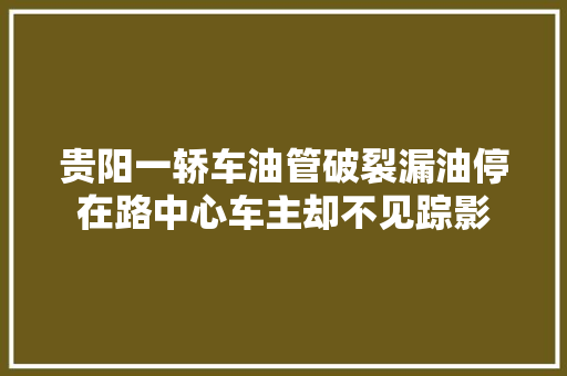 贵阳一轿车油管破裂漏油停在路中心车主却不见踪影
