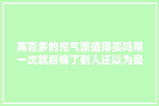 两百多的充气泵值得买吗用一次就后悔了别人还以为是送外卖的