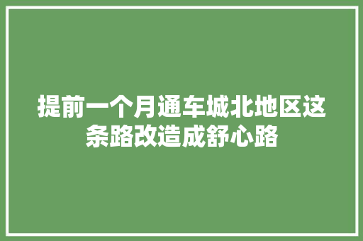 提前一个月通车城北地区这条路改造成舒心路