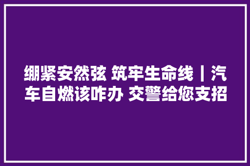 绷紧安然弦 筑牢生命线｜汽车自燃该咋办 交警给您支招