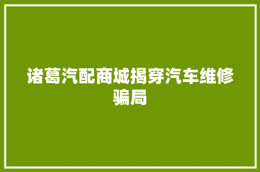 诸葛汽配商城揭穿汽车维修骗局