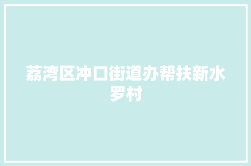 荔湾区冲口街道办帮扶新水罗村