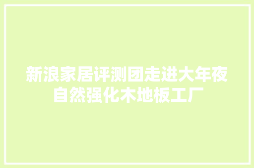 新浪家居评测团走进大年夜自然强化木地板工厂