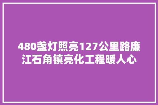 480盏灯照亮127公里路廉江石角镇亮化工程暖人心