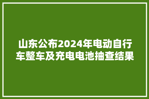 山东公布2024年电动自行车整车及充电电池抽查结果
