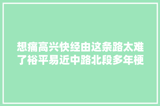 想痛高兴快经由这条路太难了裕平易近中路北段多年梗阻