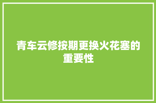 青车云修按期更换火花塞的重要性