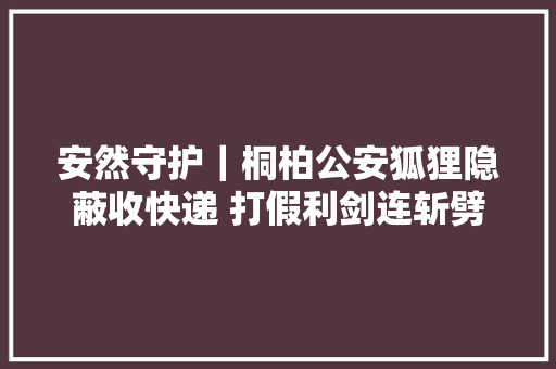 安然守护｜桐柏公安狐狸隐蔽收快递 打假利剑连斩劈