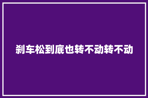 刹车松到底也转不动转不动