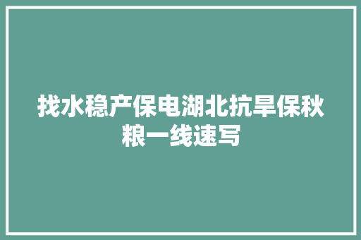 找水稳产保电湖北抗旱保秋粮一线速写 汽车知识