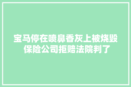 宝马停在喷鼻香灰上被烧毁 保险公司拒赔法院判了