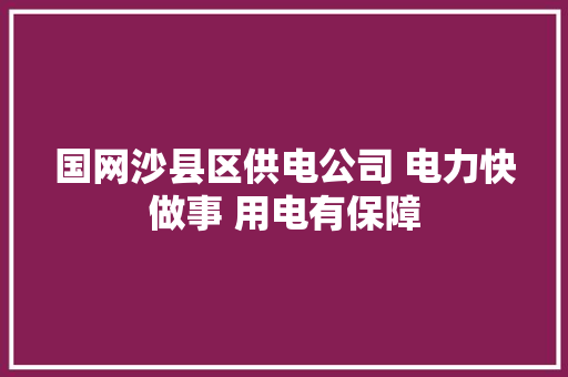 国网沙县区供电公司 电力快做事 用电有保障