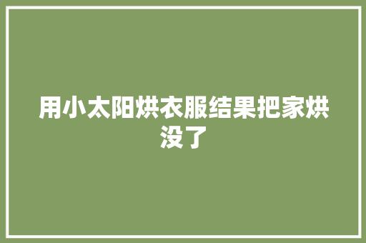 用小太阳烘衣服结果把家烘没了