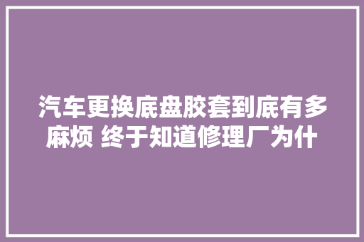 汽车更换底盘胶套到底有多麻烦 终于知道修理厂为什么只换不修了