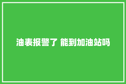 油表报警了 能到加油站吗