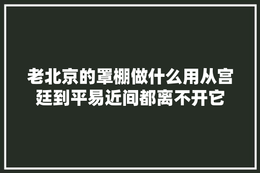 老北京的罩棚做什么用从宫廷到平易近间都离不开它 汽车知识
