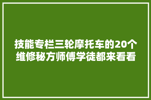 技能专栏三轮摩托车的20个维修秘方师傅学徒都来看看