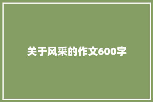 关于风采的作文600字