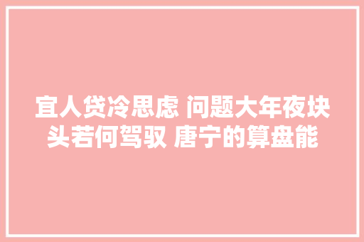 宜人贷冷思虑 问题大年夜块头若何驾驭 唐宁的算盘能否如意