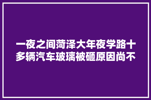 一夜之间菏泽大年夜学路十多辆汽车玻璃被砸原因尚不明 汽车知识