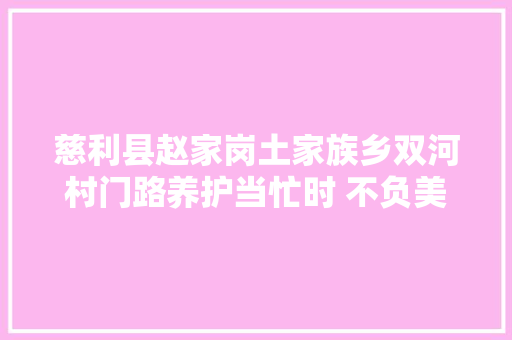 慈利县赵家岗土家族乡双河村门路养护当忙时 不负美丽好时光