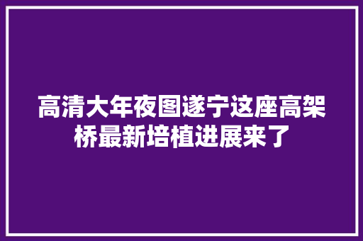 高清大年夜图遂宁这座高架桥最新培植进展来了