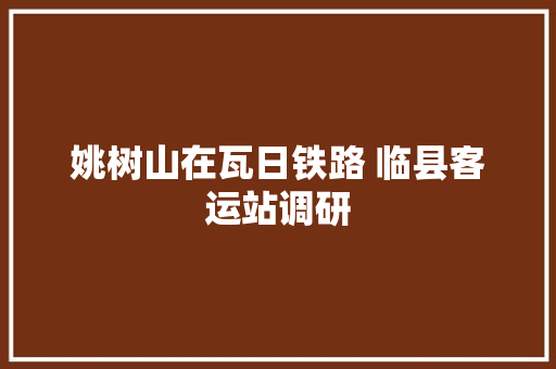 姚树山在瓦日铁路 临县客运站调研