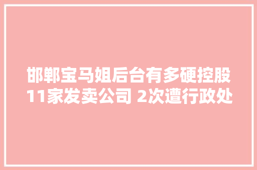 邯郸宝马姐后台有多硬控股11家发卖公司 2次遭行政处罚