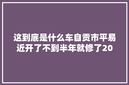 这到底是什么车自贡市平易近开了不到半年就修了20多次 汽车知识
