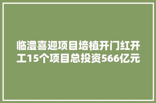 临澧喜迎项目培植开门红开工15个项目总投资566亿元