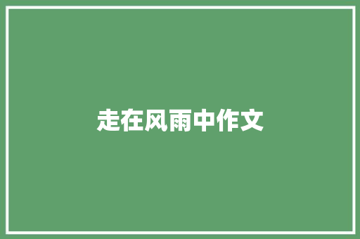走在风雨中作文