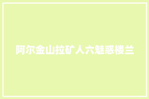 阿尔金山拉矿人六魅惑楼兰