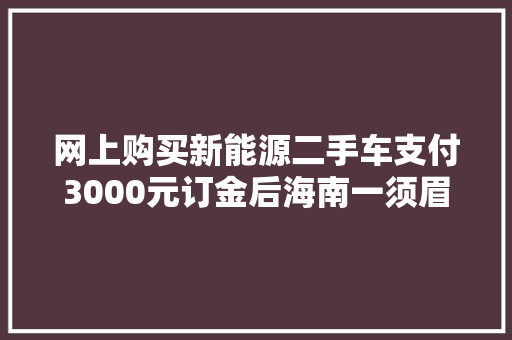 网上购买新能源二手车支付3000元订金后海南一须眉后悔莫及