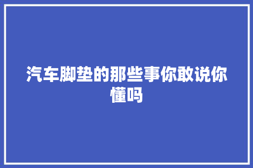 汽车脚垫的那些事你敢说你懂吗
