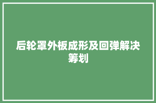 后轮罩外板成形及回弹解决筹划