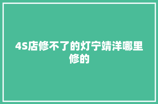 4S店修不了的灯宁靖洋哪里修的